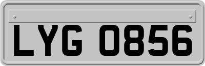 LYG0856