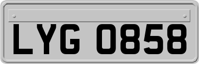 LYG0858