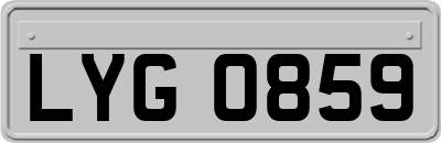 LYG0859