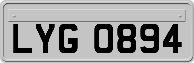 LYG0894