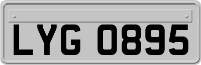 LYG0895