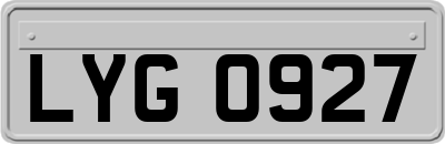 LYG0927