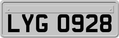 LYG0928