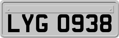 LYG0938