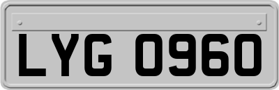 LYG0960
