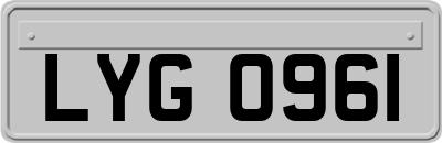 LYG0961