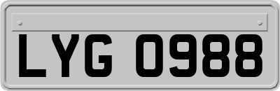 LYG0988