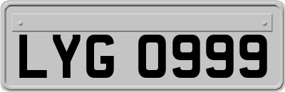 LYG0999