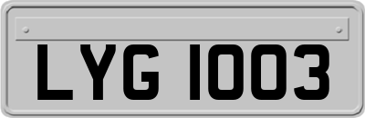 LYG1003