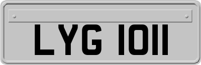 LYG1011