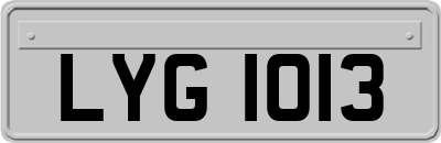 LYG1013