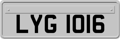 LYG1016