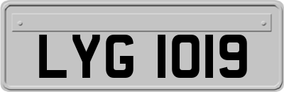 LYG1019