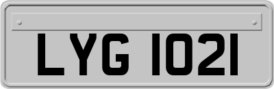 LYG1021