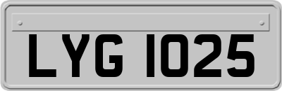 LYG1025