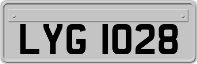 LYG1028