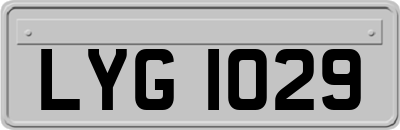 LYG1029