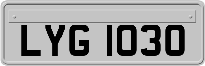 LYG1030