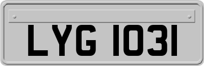 LYG1031