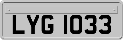LYG1033