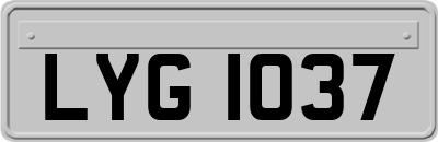 LYG1037
