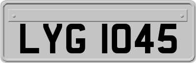 LYG1045