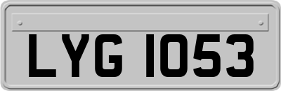 LYG1053