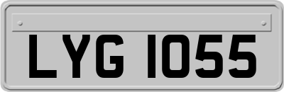 LYG1055