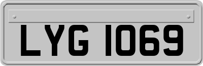 LYG1069