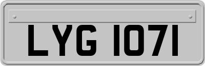 LYG1071