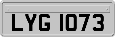 LYG1073