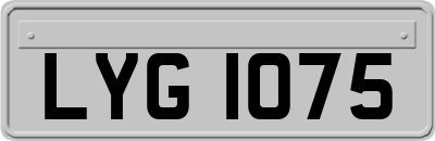 LYG1075