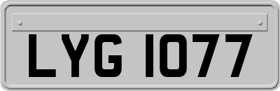 LYG1077