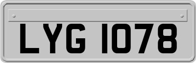 LYG1078