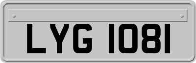 LYG1081