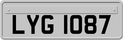 LYG1087