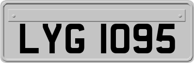 LYG1095