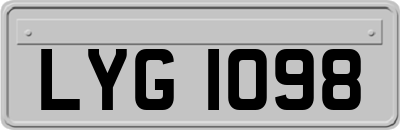 LYG1098