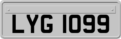LYG1099