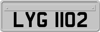 LYG1102