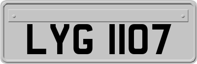 LYG1107