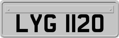 LYG1120