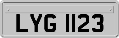 LYG1123