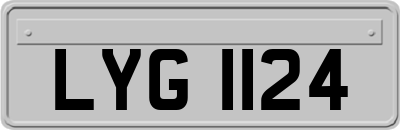 LYG1124