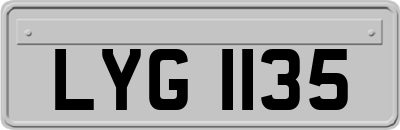 LYG1135