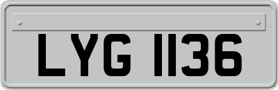 LYG1136