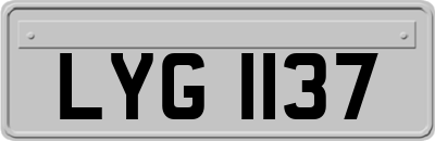 LYG1137