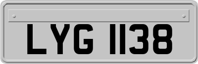 LYG1138