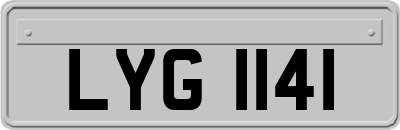 LYG1141