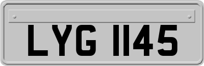 LYG1145